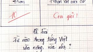 Từ nào trong Tiếng Việt vừa nặng, vừa nhẹ? Chỉ top 1% những người thông minh nhất trả lời được