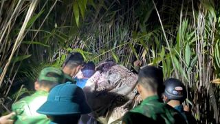 Đà Nẵng: Hy hữu một sản phụ vượt 35km đường rừng đi cấp cứu trong đêm