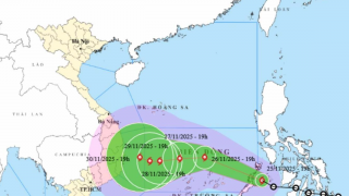 Diễn biến mới cơn bão số 15: Có nguy cơ gây thiên tai cấp 2, biển động mạnh, người dân cần hết sức lưu ý