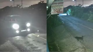 Công an thông tin nóng vụ nhóm người lái ô tô 7 chỗ đi trộm chó, đã bắt giữ nghi phạm đầu tiên