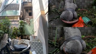 Câu nói khiến cô gái liều mình nhảy từ tầng 3, thoát chết thần kỳ trong vụ cháy quán ốc thương tâm ở TP.HCM