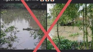 Đăng tin bịa đặt về cá sấu ‘khổng lồ’, thanh niên nhận cái kết bất ngờ