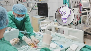 Nữ giáo viên Hà Nội 'thập tử nhất sinh' chỉ sau một bát bún ngan, nguyên nhân từ loại gia vị quen thuộc