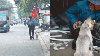 Xót xa về hoàn cảnh người đàn ông dắt chú chó đi bộ xin việc ở TP.HCM: Vợ bỏ đi khi con mới 4 tuổi