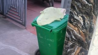 Phát hiện bé trai sơ sinh tử vong trong thùng rác ở Bắc Ninh, công an khẩn trương truy tìm thân nhân