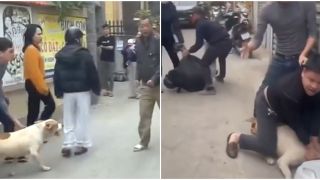 Xôn xao clip nam thanh niên xua chó vào cắn người dữ dội trong cuộc ẩu đả giữa 2 người đàn ông ở Hà Nội