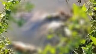 Hoàn cảnh gia đình nữ sinh lớp 7 bị sát hại ở Cà Mau: Bố mẹ đi làm xa, sống cùng ông ngoại