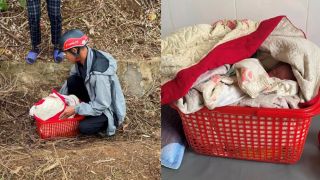 Tình trạng bé gái sơ sinh bị bỏ rơi dưới rãnh mương trong giá rét ở Thanh Hoá: Cơ quan chức năng truy tìm thân nhân