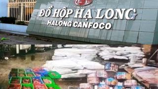 Lộ hồ sơ của công ty Halong Canfoco giữa bê bối 120 tấn thịt lợn bệnh bị 'phù phép' thành đồ hộp