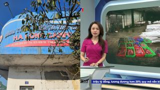 120 tấn lợn nhiễm bệnh bị phát hiện: Cán bộ CTCP đồ hộp Hạ Long tuyên bố ‘xanh rờn’, công ty giải thích