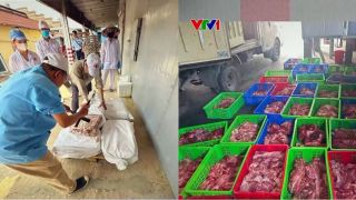 Cận cảnh kho hàng chứa 120 tấn thịt lợn nhiễm bệnh của CTCP đồ hộp Hạ Long, hé lộ cách qua mặt lực lượng chức năng