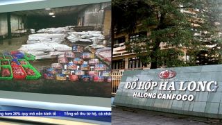 Khởi tố 9 bị can vụ 120 tấn thịt lợn bốc mùi tại kho Đồ hộp Hạ Long: Lời khai hé lộ nguồn gốc gây phẫn nộ 