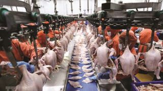 3 thương hiệu cung cấp thịt sạch 'từ trang trại đến bàn ăn' sắp bị thanh tra, không chỉ C.P Việt Nam