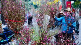 Dự báo mới nhất thời tiết Tết Nguyên đán 2026: Miền Bắc đối mặt rét đậm rét hại, mưa lớn có xuất hiện đúng kỳ nghỉ?