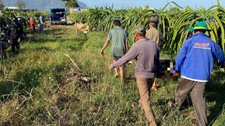 Danh tính người đàn ông tử vong trong vườn thanh long ở Lâm Đồng, người dân kể lại sự tình