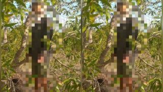 Vụ người đàn ông treo cổ trong rừng tràm ở Lâm Đồng: Hé lộ lá thư tuyệt mệnh và cuộc gọi cuối cùng