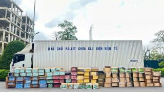 Nghẹt thở màn truy đuổi xe tải như phim hành động, lộ 