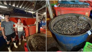 Rùng mình phát hiện cơ sở ngâm ốc bươu bằng “thủy tinh lỏng”, hàng ngàn tấn đã vào miệng người tiêu dùng