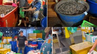 Cơ sở ngâm 3.000 tấn ốc với hóa chất tồn tại 5 năm ở TPHCM: Hoạt động khép kín, che mắt thiên hạ!