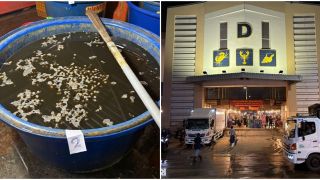 Sở An toàn thực phẩm TPHCM lên tiếng vụ 3.000 tấn ốc ngâm hóa chất, tại sao cơ sở này đã tồn tại được 5 năm?