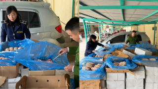 Hà Nội: Kịp thời ngăn chặn gần 2 tấn thực phẩm nhập lậu sắp tuồn ra thị trường