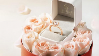 Cầu hôn tặng hoa gì? 9 loại hoa ý nghĩa và lãng mạn nhất