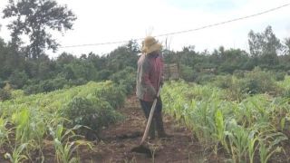 Nghịch lý thắng kiện 4 năm nhưng không có tiền bồi thường: 6 giáo viên ‘kêu cứu’ khắp nơi