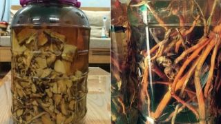 Bộ y tế chỉ đạo khẩn sau vụ 2 người tử vong khi uống rượu ngâm, hé lộ kết quả điều tra ban đầu