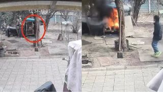 Bé trai nghịch lửa thiêu sống chó Samoyed, người chủ từ chối hòa giải riêng mà đưa yêu cầu đặc biệt