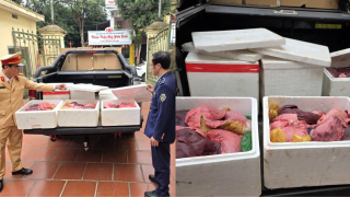 Ninh Bình: Bắt quả tang 100kg nội tạng lợn trôi nổi suýt tuồn ra thị trường dịp cận Tết