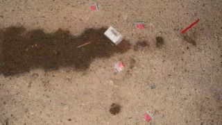 Bắt quả tang 3 thanh niên làm điều đáng xấu hổ trong nhà nghỉ, 1 người nhảy từ tầng 2 để bỏ chạy