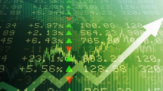 Phiên 11/2: Sắc xanh áp đảo, VN-Index bật tăng mạnh nhất một tháng