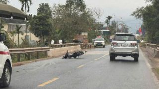 Nam thanh niên 18 tuổi không may tự gây tai nạn rồi tử vong ngày mùng 2 Tết, hiện trường vụ việc?