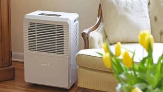 Mùa nồm ẩm ướt: Chọn sai máy hút ẩm coi như “ném tiền qua cửa sổ”, đây là những điều bắt buộc phải biết