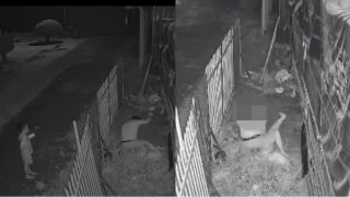 Công an thông tin nóng vụ chồng đâm vợ ở Đồng Tháp, bất chấp con nhỏ cầu xin ‘ba ơi đừng xử mẹ mà’