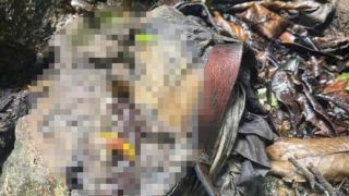 Xác minh danh tính bộ xương người ở bìa rừng Quảng Ngãi, phát hiện dậu hiệu lạ tại hiện trường 