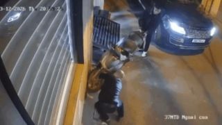 Vụ tài xế Range Rover chọc thủng lốp SH trong ngõ Hà Nội: Thủ phạm khai nguyên nhân không ngờ