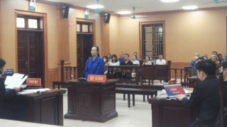 Nguồn cơn tội ác của người phụ nữ phóng hỏa thiêu rụi một chiếc ô tô và ba máy xúc, tòa tuyên án?