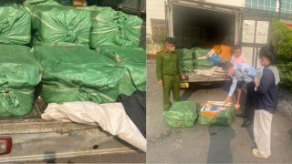 Hưng Yên: Chặn đứng xe tải, thu giữ hơn 1,3 tấn nầm lợn bốc mùi, không rõ nguồn gốc