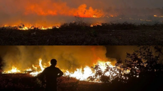 Hiện trường vụ cháy tại khu tái định cư 7 ha ở TP.HCM: Khói đen bốc cao, người dân gồng mình dập lửa