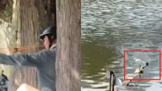 Danh tính thanh niên dùng ná cao su bắn chim giữa phố Đà Lạt, hành hung 1 phóng viên khi bị nhắc nhở