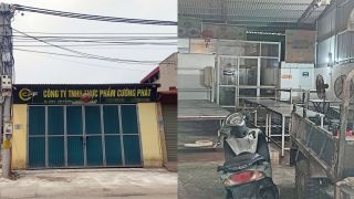 Đường đi thịt lợn bệnh vào trường học Hà Nội, công ty Cường Phát và hệ thống cung cấp thực phẩm bị phanh phui 