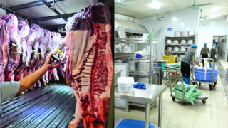 Bộ Y tế bất ngờ kiểm tra bếp ăn tập thể ở Hà Nội, Ninh Bình: Phát hiện nhiều điểm đáng báo động