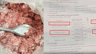 Phụ huynh chủ động mang mẫu thịt lợn của trường đi xét nghiệm nhận kết quả lợn nhiễm bệnh: Phản ứng của nhà trường?