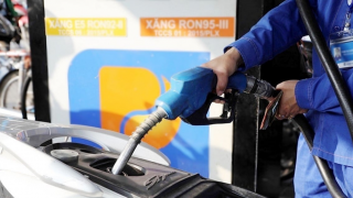 Phát hiện dấu hiệu bất thường tại một số doanh nghiệp xăng dầu, Cục Thuế yêu cầu kiểm tra khẩn