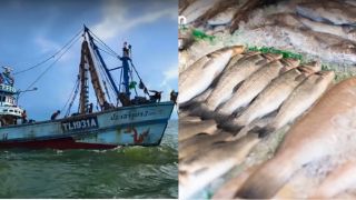 Giá xăng dầu tăng vọt lên hơn 30.000 đồng/lít, 1 quốc gia gần Việt Nam cảnh báo 70% tàu cá dừng hoạt động