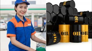 Giá xăng dầu mới nhất 15/4/2026: Thị trường nhiên liệu biến động, World Cup 2026 lên kế hoạch khẩn