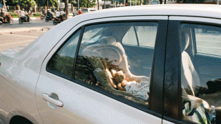 Phân tích dưới góc độ trách nhiệm hình sự vụ bố bỏ quên con 2 tuổi trên ô tô hơn 5 tiếng gây tử vong