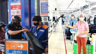 Giá xăng dầu hôm nay giảm sâu cận nghỉ lễ, nhiều doanh nghiệp hỗ trợ thêm tiền xăng cho người lao động