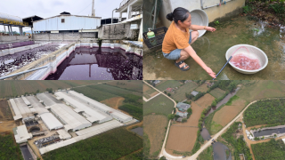 Nước giếng đổi màu, hàng chục hộ dân thiếu nước: Nhà máy giặt là ở Thanh Hóa bị dừng hoạt động